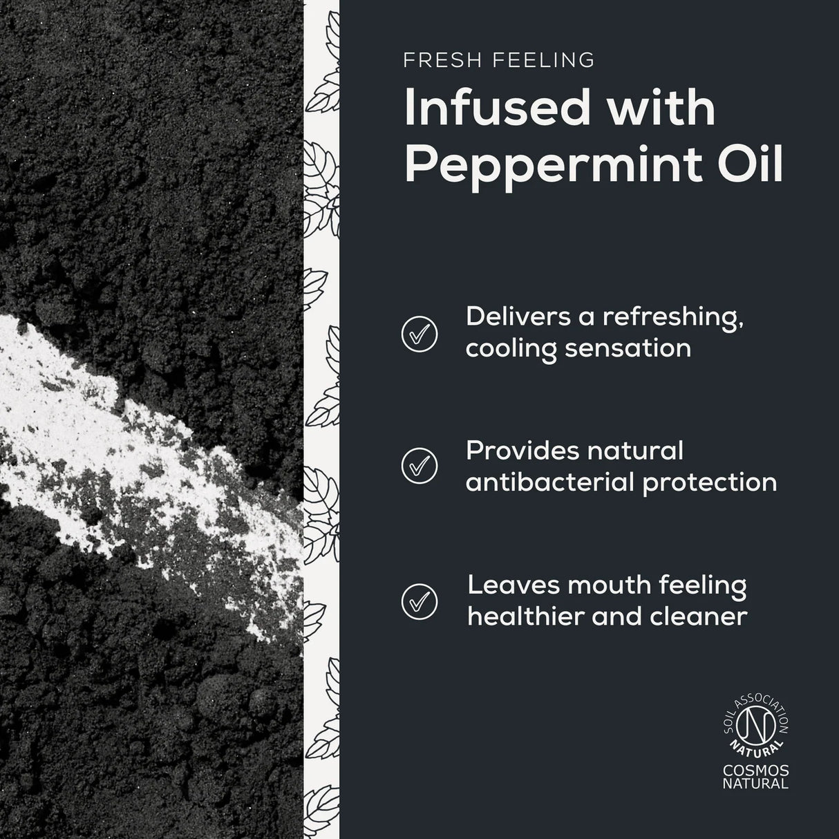 Charcoal Mineral Tannkrem Pulver 60ml fra Georganics